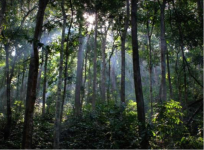 Tapaswi Tours & Travels - Rajahmundry