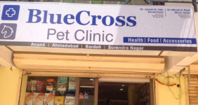 Blue Cross Pet Clinic - VV Nagar Rd - Anand