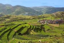 MountStar Holidays - Palani