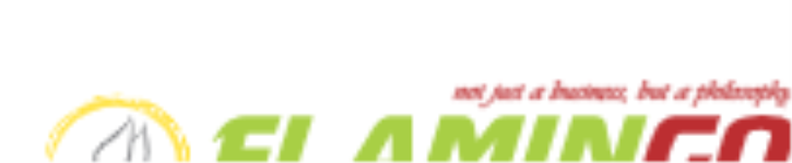 Flamingo Tours & Travels - Udaipur