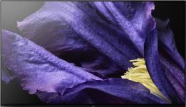 Sony Bravia A9F 139cm (55) Ultra HD (4K) OLED Smart Android TV