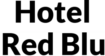 Hotel Red Blu - Delhi