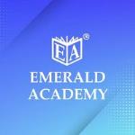 Emerald Academy - Ambawadi - Ahmedabad