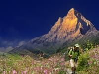 Himalaya Shelter Tours - Dehradun