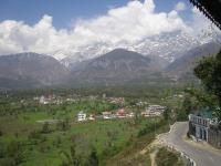 Organic Holidays Travels - Dharamshala