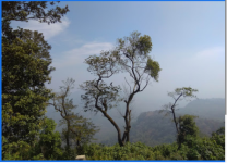 Sanjaram Tours & Travels - Kannur