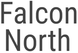 Falcon North Real Estate Agency - Chandigarh