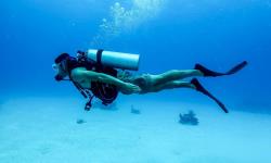 Scuba Adventure - Goa