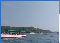 Dolphin Trip - Goa