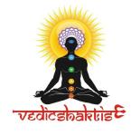 Vedicshaktis And Sciences Private Limited - Sector 50 - Noida