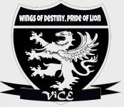 Vice Institute - Katargam - Surat