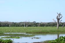 Stripes Holidays - Jabalpur