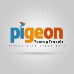 Pigeon Travels - Munnar