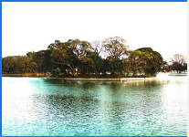 Santhosh Holidays - Munnar