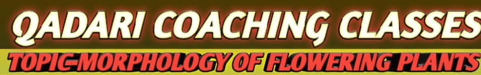 Qadri Coaching Classes -Indore