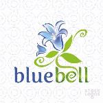 Blue Bell Classes - Chamanganj - Kanpur