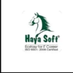 Haya Soft - Kuvempunagar - Mysore
