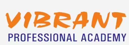 Vibrant Profesional Academy - Vv Mohalla - Mysore