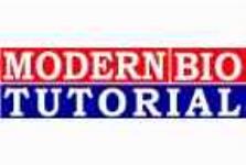 Modern Bio Tutorial - Boring Road - Patna