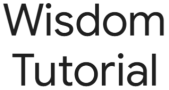 Wisdom Acadmy - Rasulabad - Allahabad