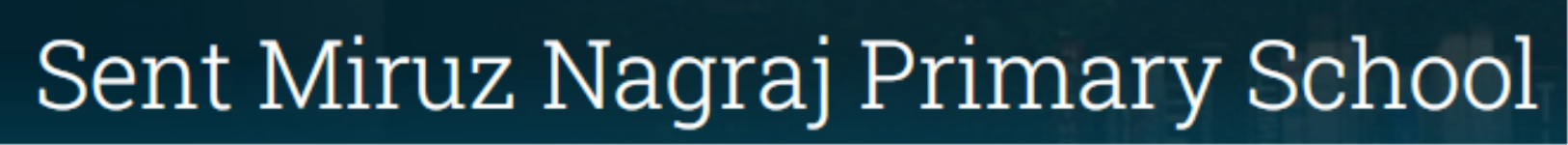 Sent Miruz Nagraj Primary School - Sadar Bazar - Pune