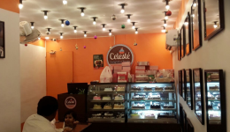 Celeste - Thoraipakkam - Chennai