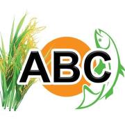 ABC Kitchen - Koramangala - Bangalore