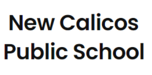 New Calicos Public School - Khurram Nagar - Lucknow