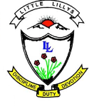 Little Lillys English School - Mahalaxshmi Layout - Bangalore