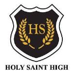 Holy Saint High School - SBM Colony - Bangalore