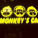 3 Monkey