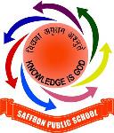 Saffron Public School - Sector 37 - Faridabad
