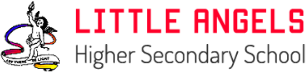 Little Angles Higher Secondary School - Mhow - Indore