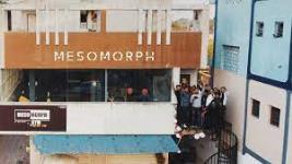 Mesomorph Gym - Valsad