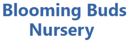 Blooming Buds Nursery - Tivim - Goa