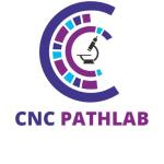 CNC Pathlab - Jhandewalan Rd - New Delhi