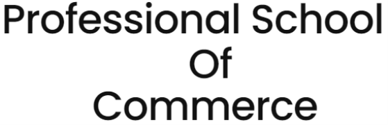 Professional School Of Commerce - Alipur - Delhi