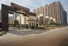 Oxford Square International - Greater Noida - Noida