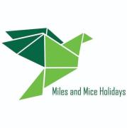 Miles and Mice Holidays - Noida