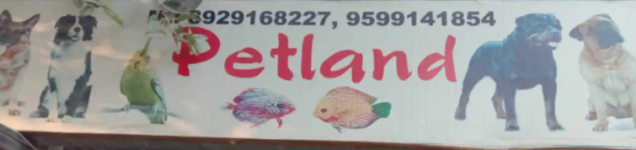 Pet Land Pet Shop - Sector 41