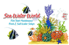 Sea Water World - Tihar Village - Delhi