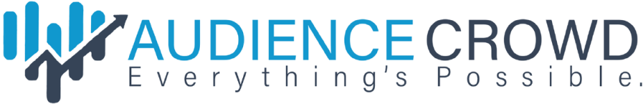 Audience Crowd