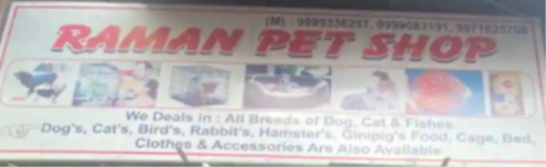 Raman Pet Shop - Preet Vihar - Delhi