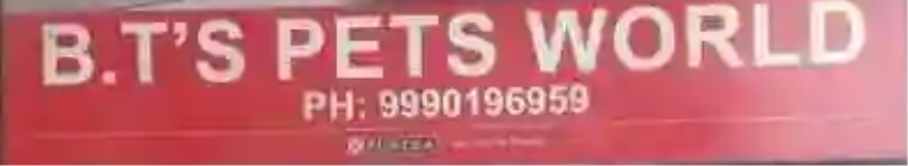 Bts Pets World - Dwarka - Delhi