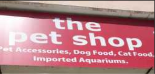 The Pet Shop - Lajpat Nagar 2 - Delhi
