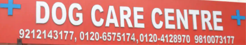 Dog Care Centre - Vaishali - Ghaziabad