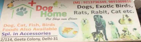 Dog Home - Geeta Colony - Delhi