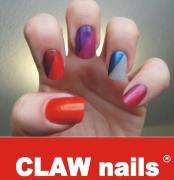 Claw - Greater Kailash 1 - Delhi