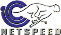 ICC NetSpeed