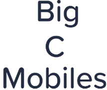 Big C Mobiles - Sarojini Nagar Market - Delhi
